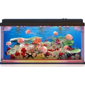 Jelly Fish Tank